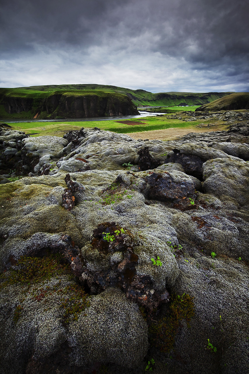 #100250-2 - Moss-covered Lava Field, Iceland