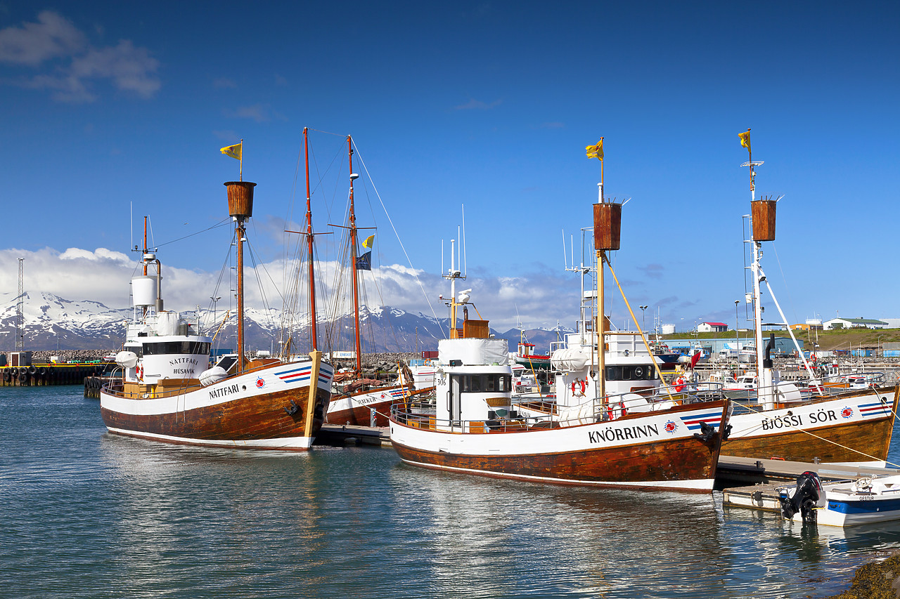 #100280-1 - Whale Watching Boats, Husavik, Iceland