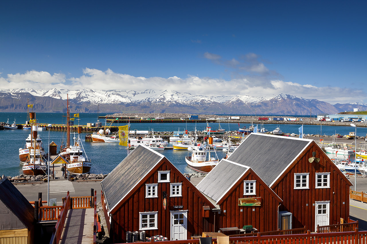 #100281-1 - View over Husavik Harbour, Iceland