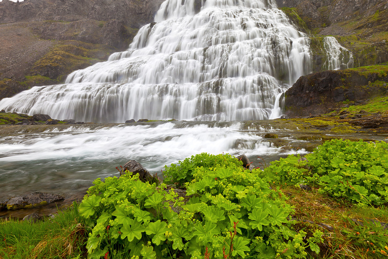 #100294-1 - Dynjandi Waterfall, Iceland