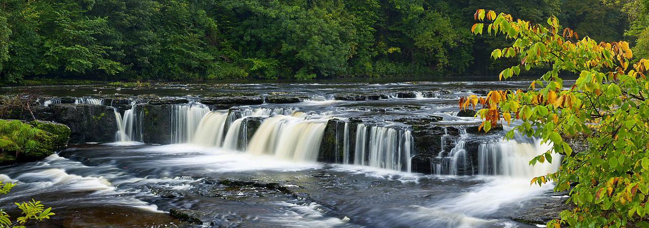 #100325-1 - Aysgarth Falls, Wensleydale, Yorkshire, England