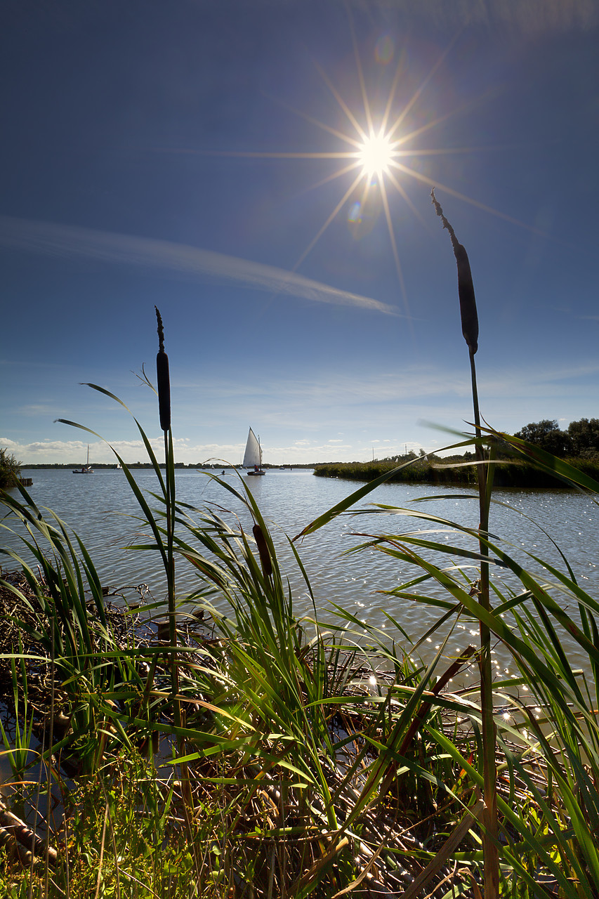 #100338-1 - Sailing on Hickling Broad, Norfolk Broads National Park, Norfolk, England