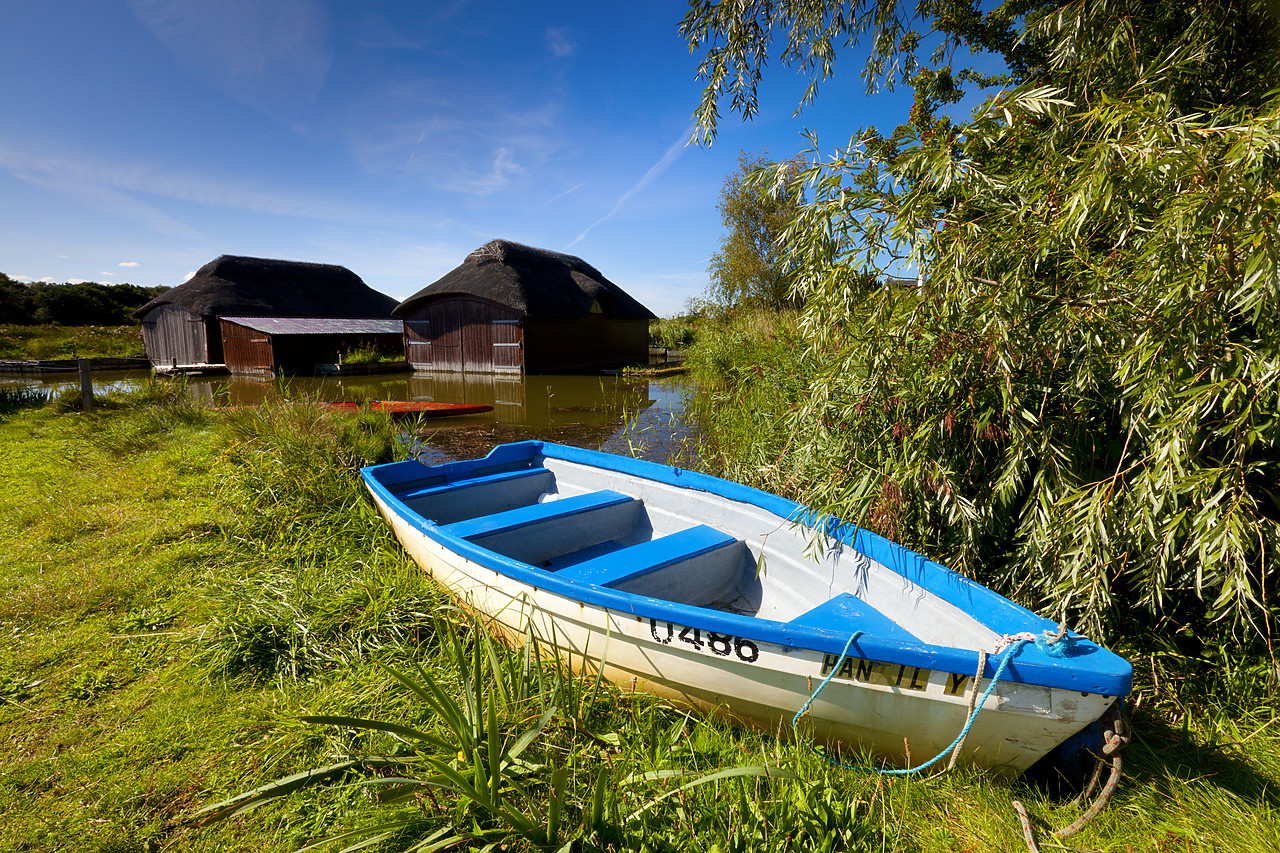 #100339-1 - Dinghy & Thatched Boathouse, Hickling Broad, Norfolk Broads National Park, Norfolk, England