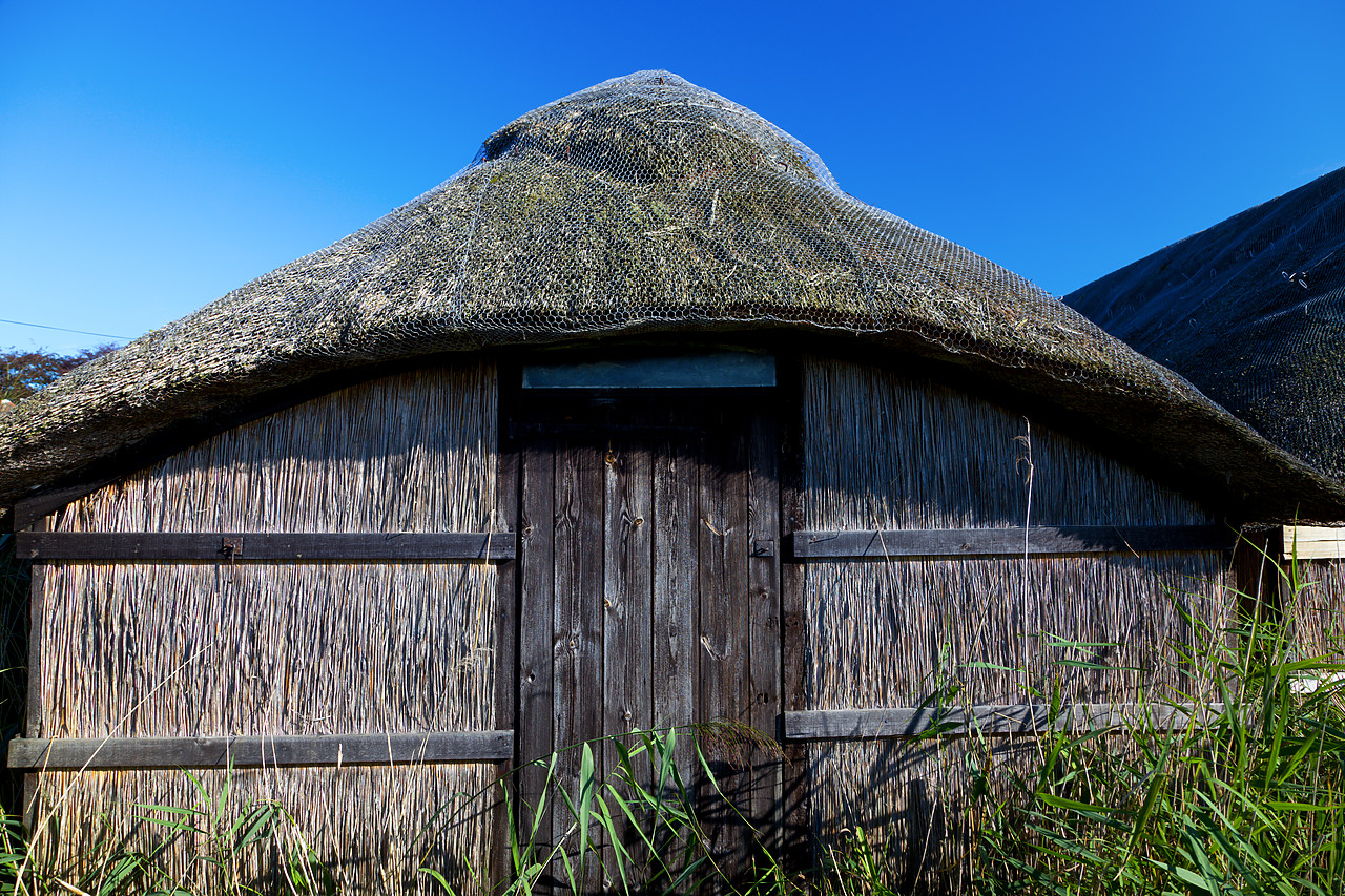 #100349-1 - Thatched Boathouse, Hickling, Norfolk Broads National Park, Norfolk, England