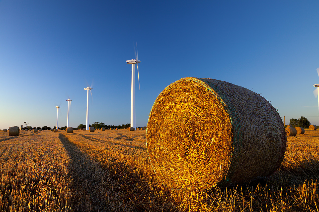 #100368-1 - Wind Turbines, West Somerton, Norfolk, England