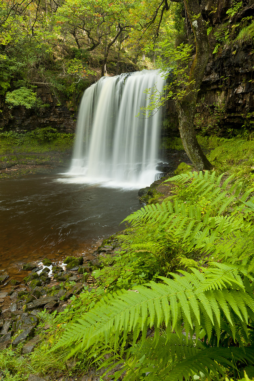 #100372-2 - Sgwd yr Eira Waterfall, River Hepste, Ystradfellte, Brecon Beacons National Park, Wales