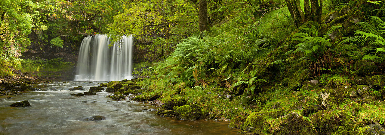 #100375-1 - Sgwd yr Eira Waterfall, River Hepste, Ystradfellte, Brecon Beacons National Park, Wales