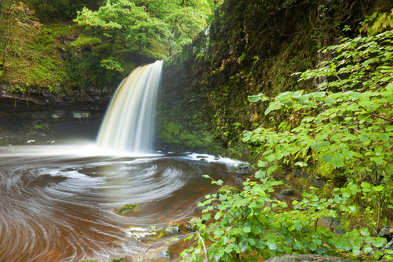 #100383-1 - Sgwd Gwladus or Lady Falls, Afon Pyrddin River, near Pontneddfechan, Breacon Beacon National Park, Wales