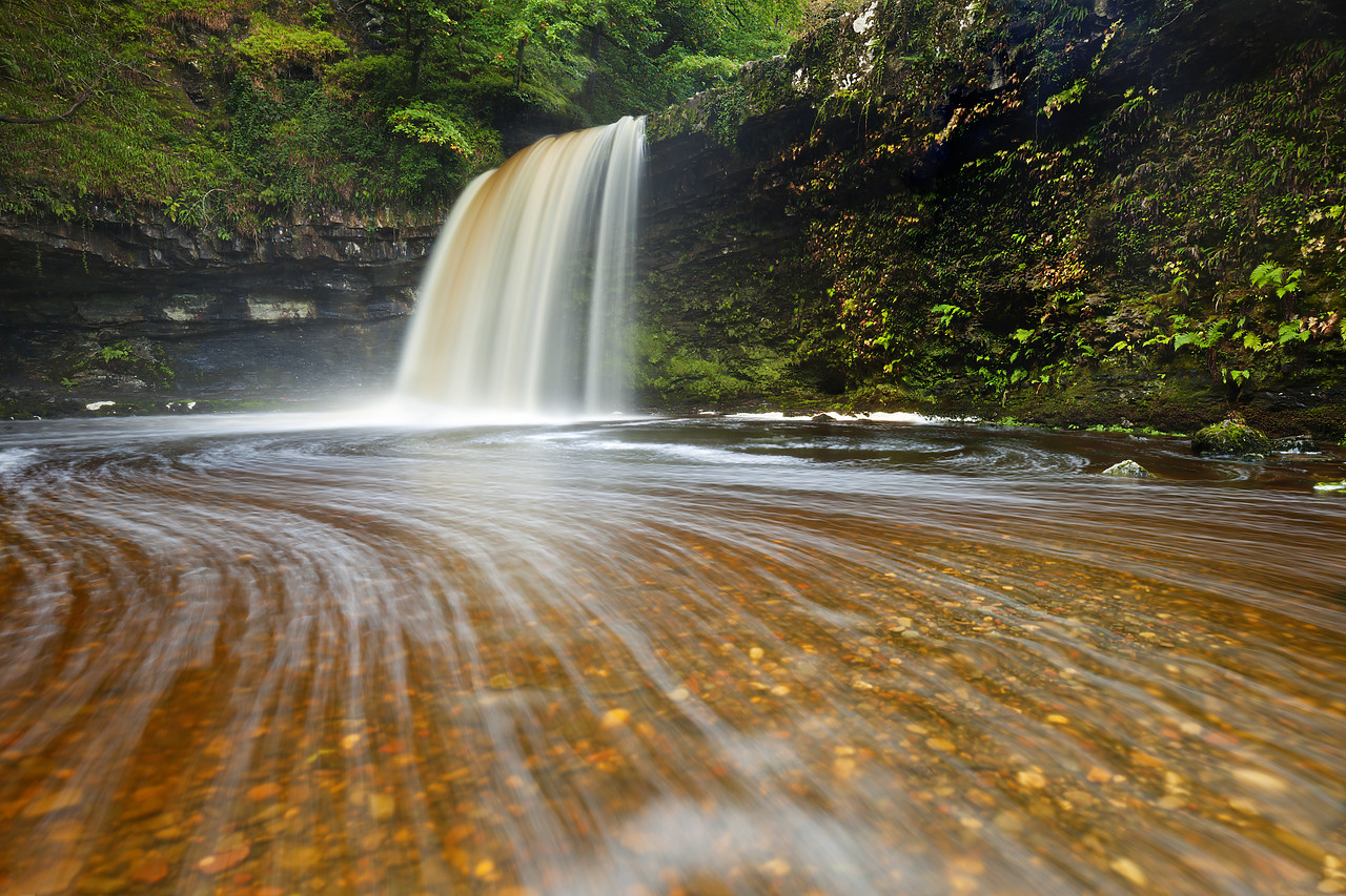 #100385-1 - Sgwd Gwladus or Lady Falls, Afon Pyrddin River, near Pontneddfechan, Breacon Beacon National Park, Wales