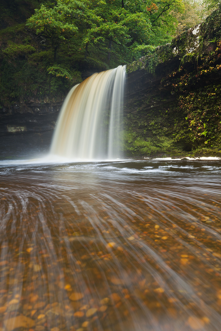 #100385-2 - Sgwd Gwladus or Lady Falls, Afon Pyrddin River, near Pontneddfechan, Breacon Beacon National Park, Wales