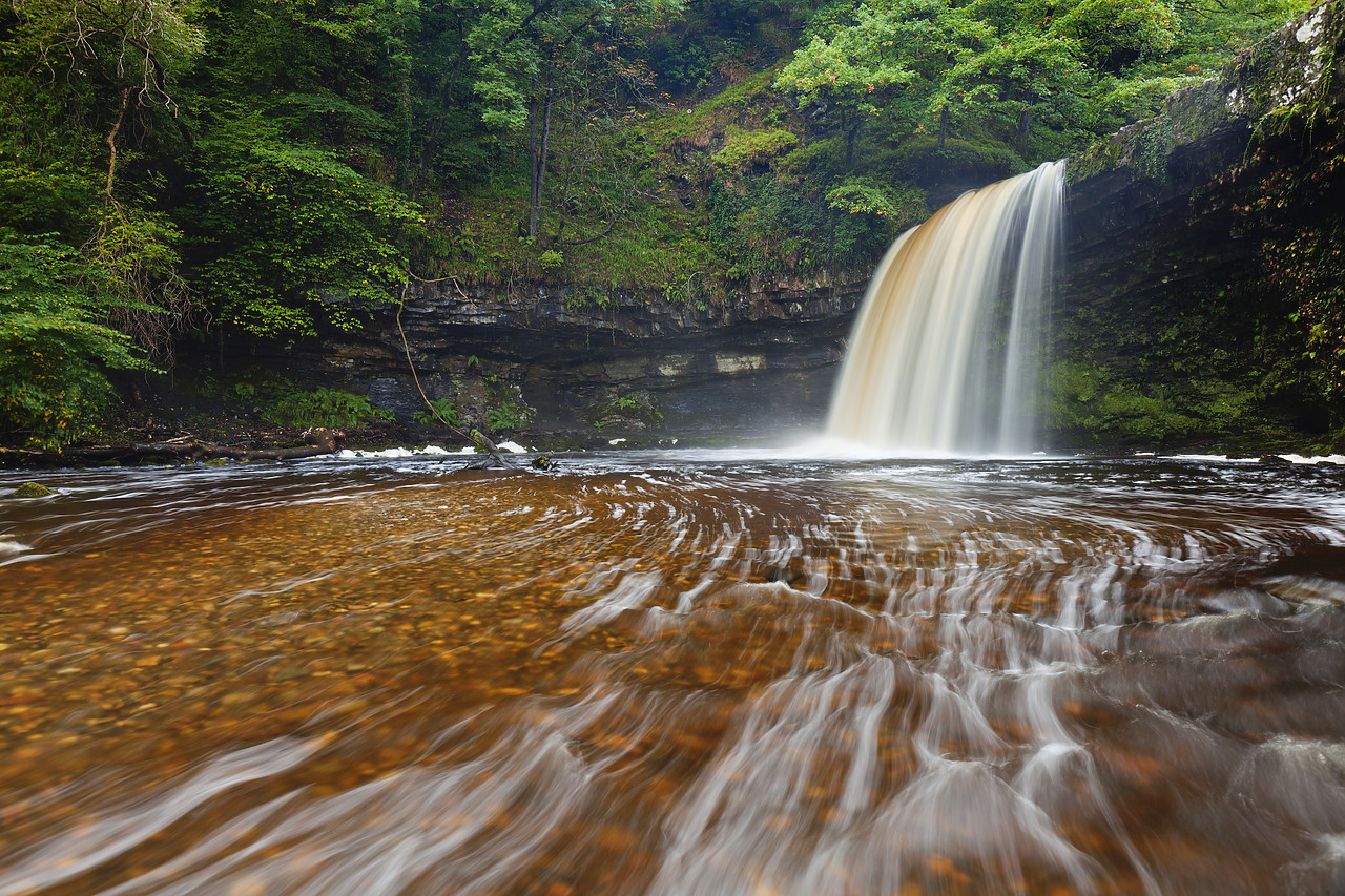 #100386-1 - Sgwd Gwladus or Lady Falls, Afon Pyrddin River, near Pontneddfechan, Breacon Beacon National Park, Wales