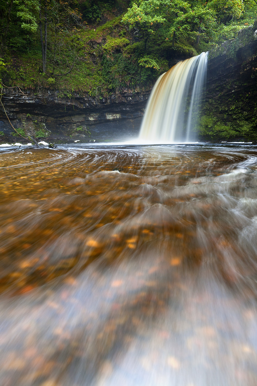 #100386-2 - Sgwd Gwladus or Lady Falls, Afon Pyrddin River, near Pontneddfechan, Breacon Beacon National Park, Wales