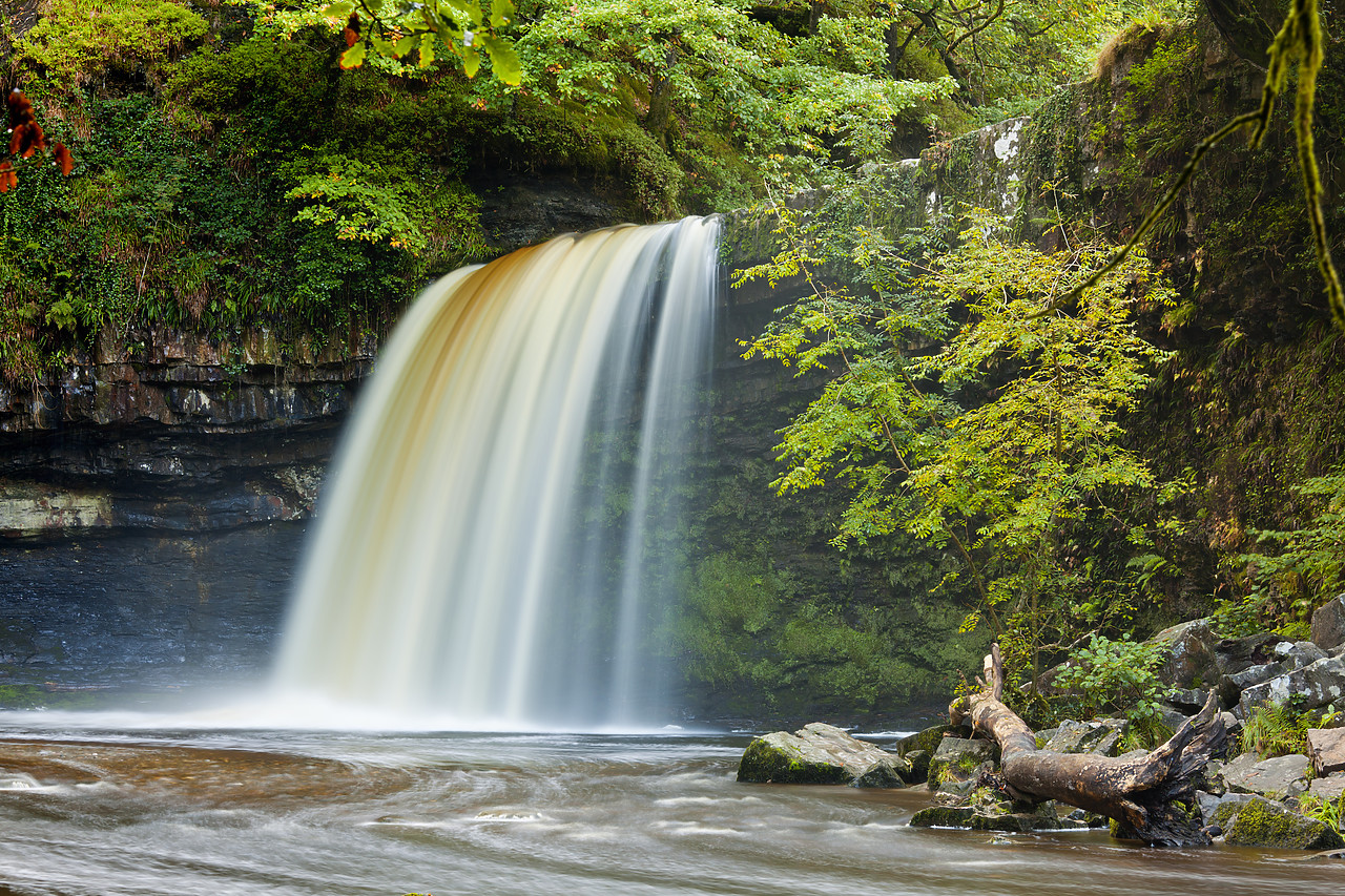 #100389-1 - Sgwd Gwladus or Lady Falls, Afon Pyrddin River, near Pontneddfechan, Breacon Beacon National Park, Wales