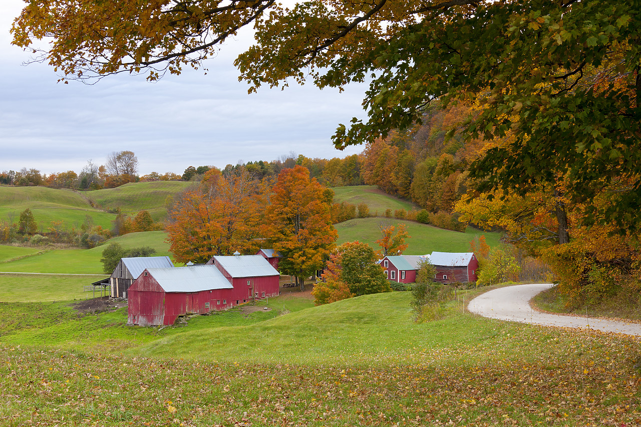#100396-1 - Jenne Farm in Autumn, Vermont, New England, USA