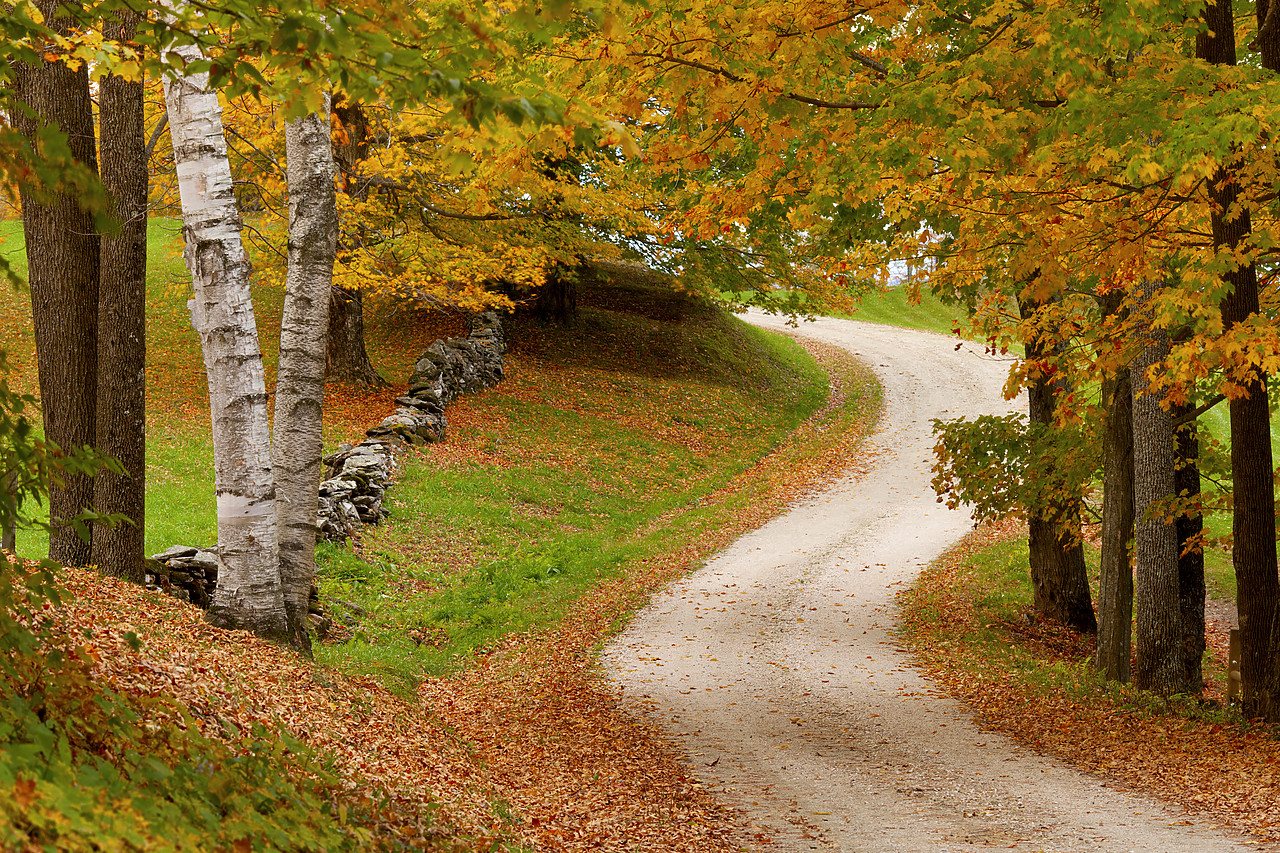 #100398-1 - Country Lane in Autumn, Vermont, USA