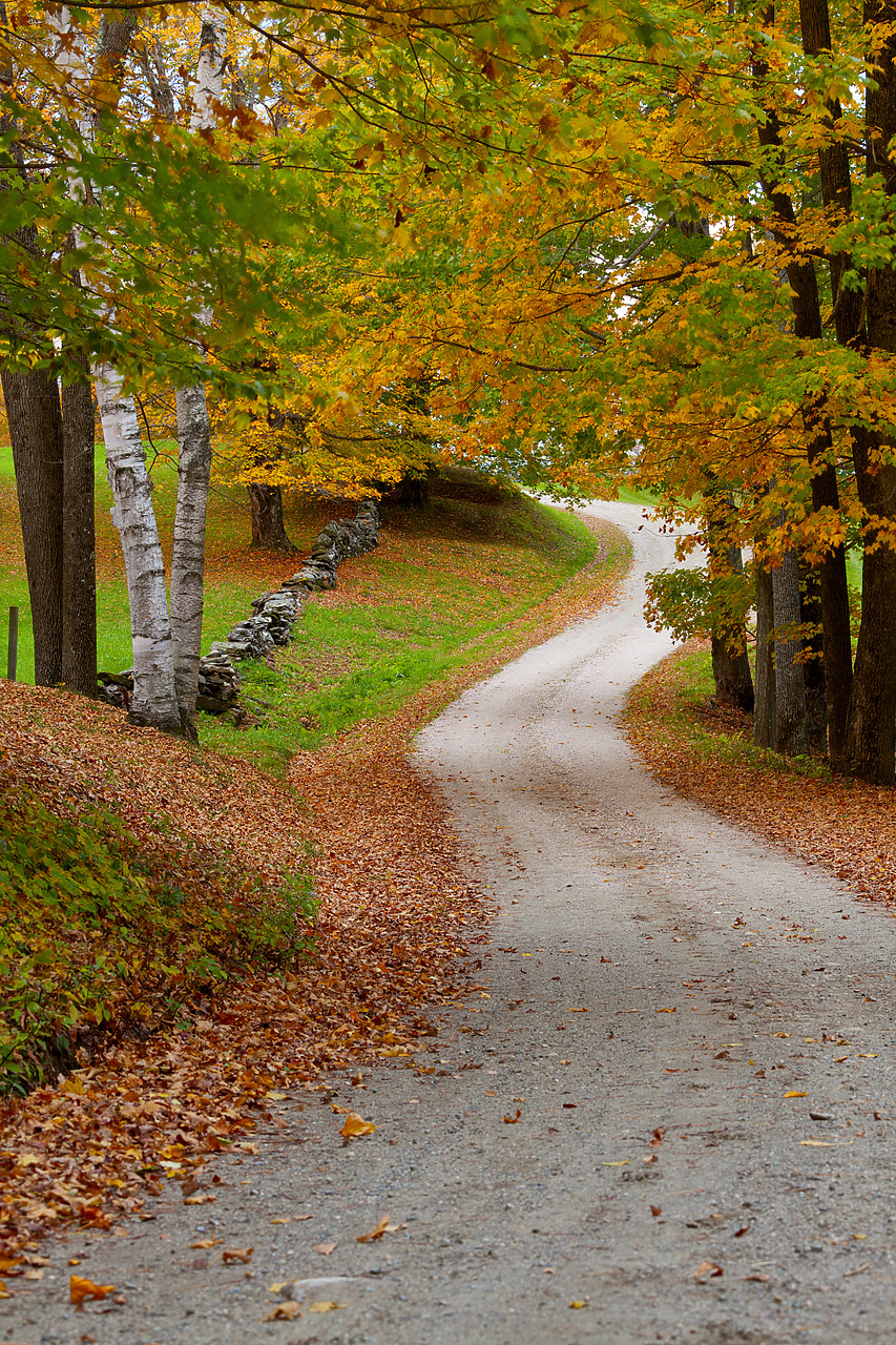 #100398-2 - Country Lane in Autumn, Vermont, USA
