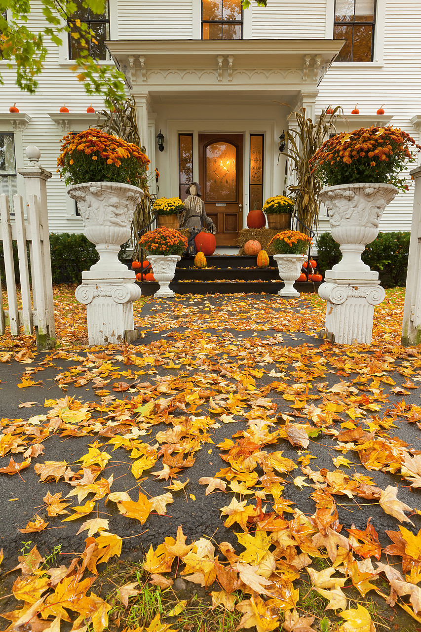 #100399-1 - Country Inn Porch in Autumn, Woodstock, Vermont, USA