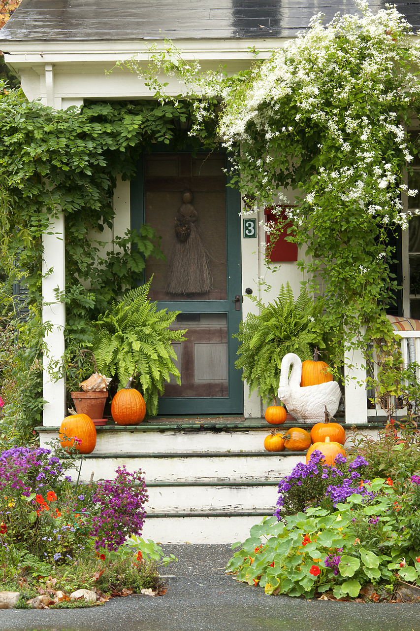 #100401-1 - Porch in Autumn, Woodstock, Vermont, USA
