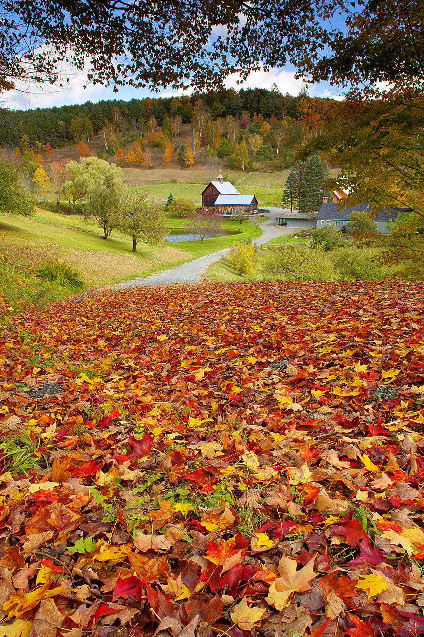 #100412-1 - Farm in Autumn, Woodstock, Vermont, USA