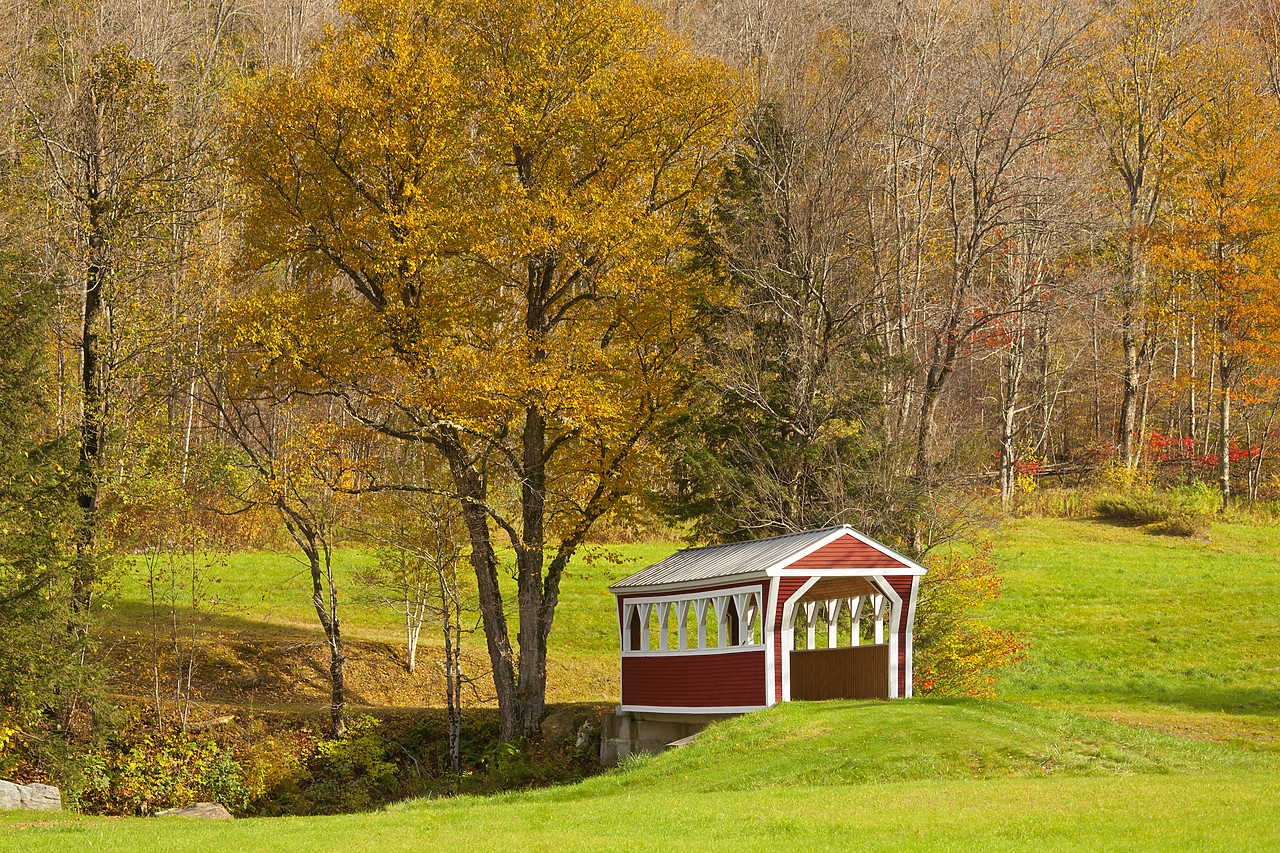 #100415-1 - Covered Bridge in Autumn, Vermont, USA