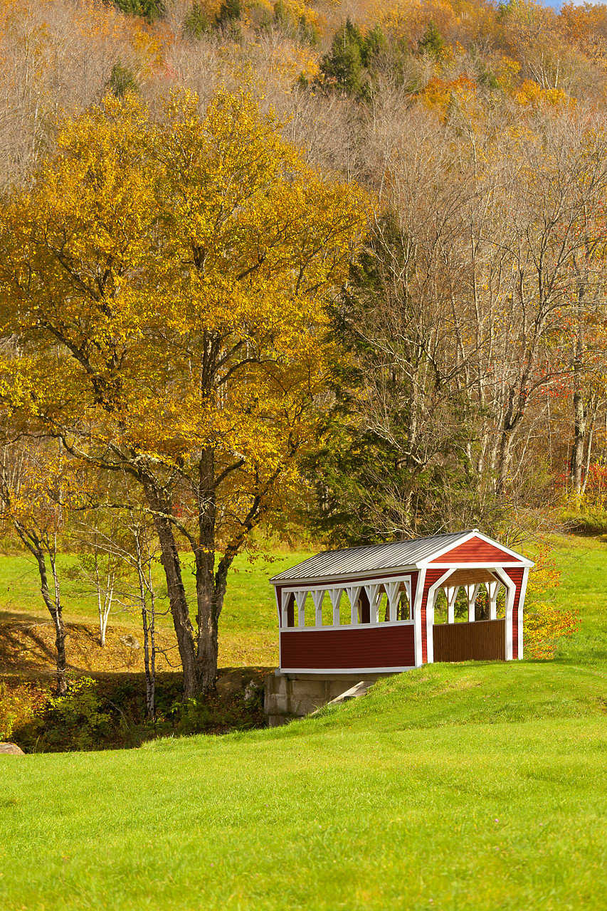 #100415-2 - Covered Bridge in Autumn, Vermont, USA