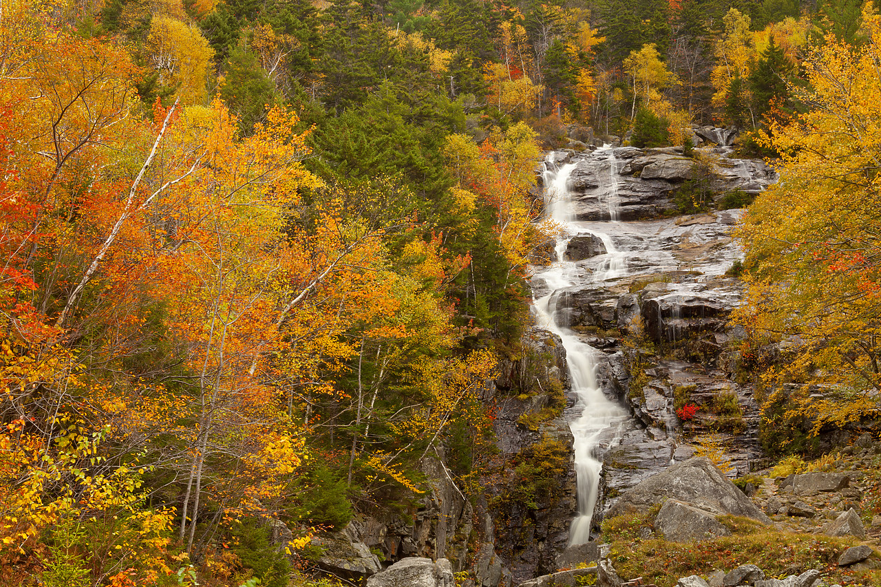 #100419-1 - Silver Cascade in Autumn, Crawford Notch, New Hampshire, USA