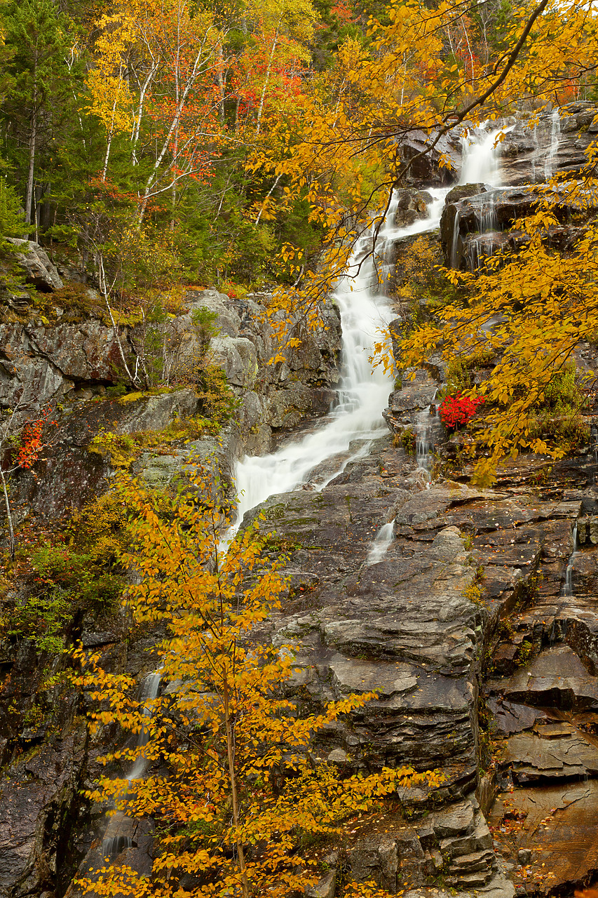 #100421-1 - Silver Cascade in Autumn, Crawford Notch, New Hampshire, USA