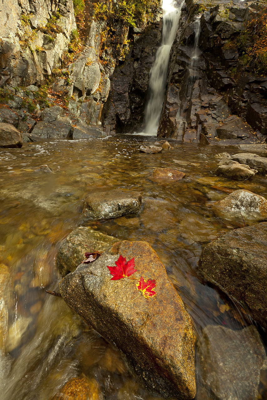 #100422-1 - Silver Cascade in Autumn, Crawford Notch, New Hampshire, USA