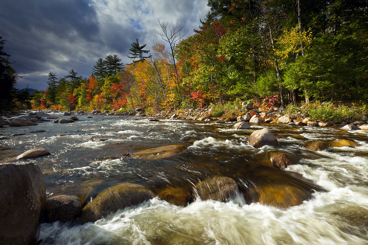 #100423-1 - Swift River in Autumn, New Hampshire, USA