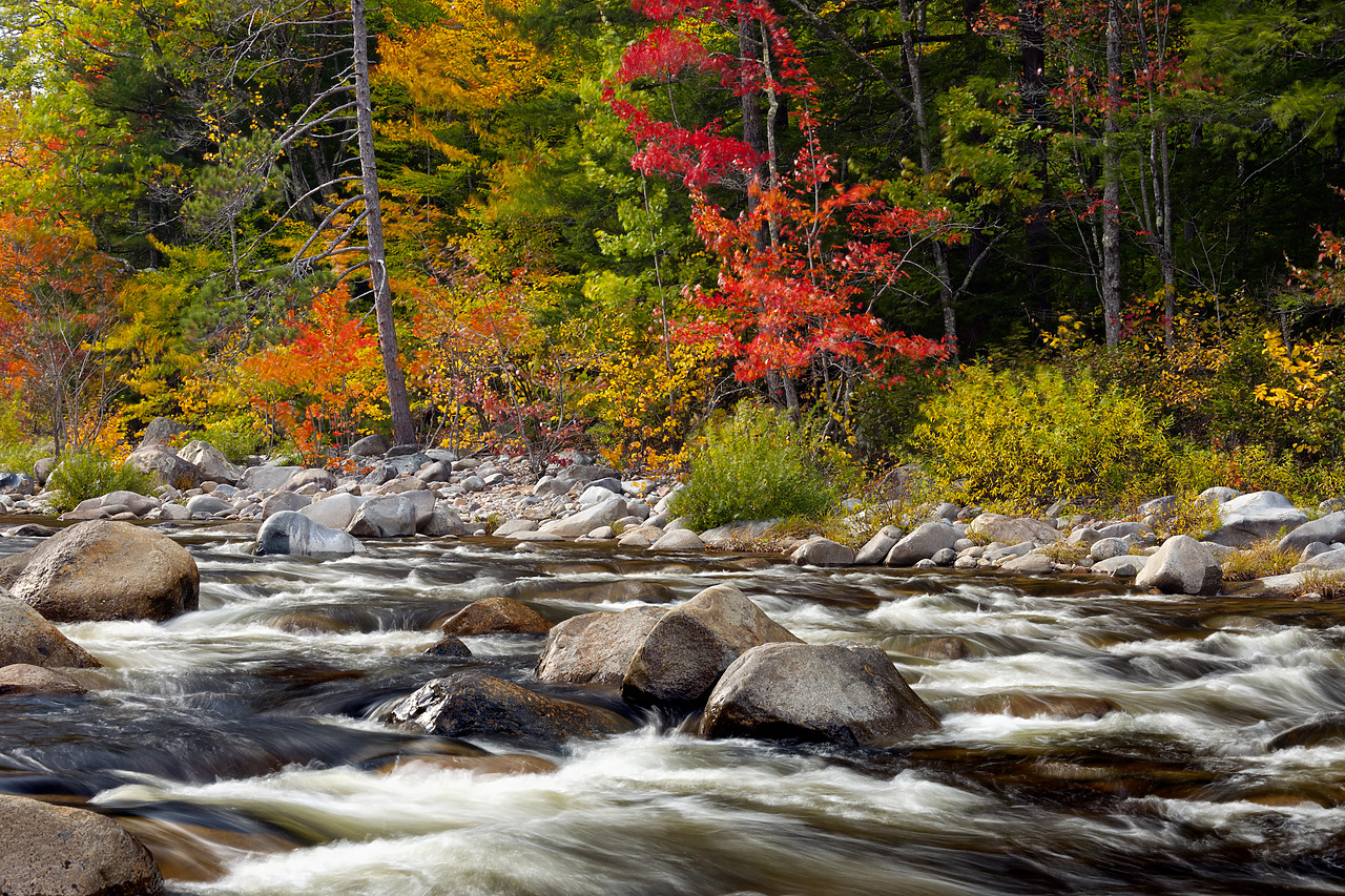 #100425-1 - Swift River in Autumn, New Hampshire, USA