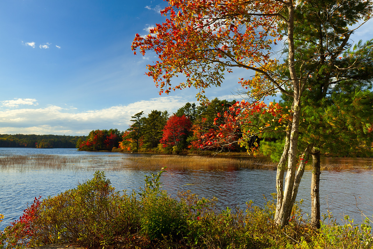 #100437-1 - Acadia National Park in Autumn, Maine, USA