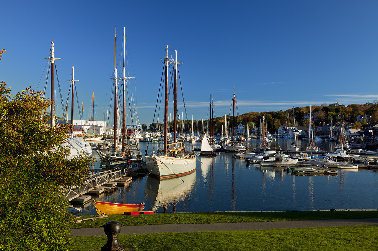 #100446-1 - Camden Harbor, Maine, USA