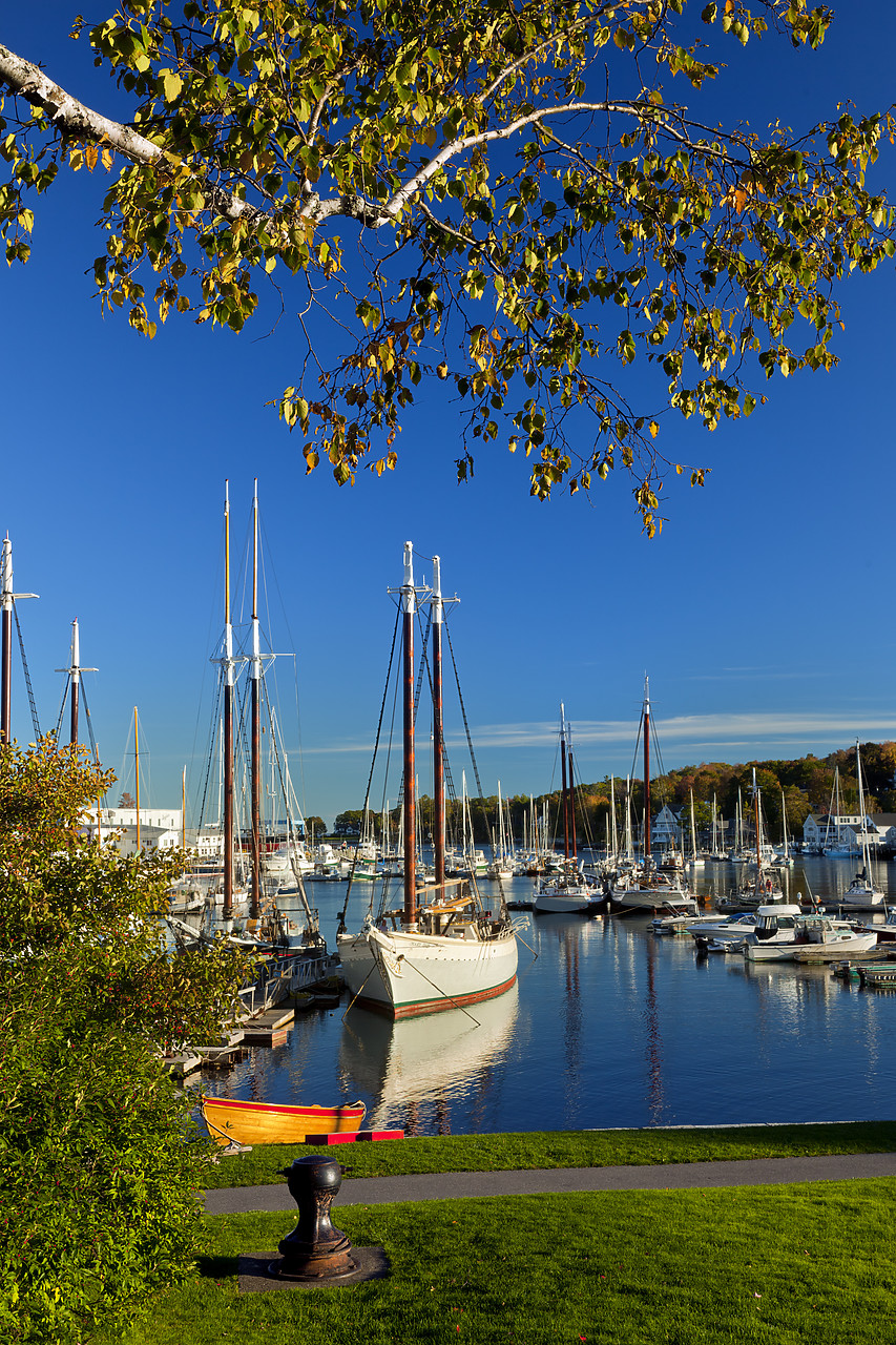 #100446-2 - Camden Harbor, Maine, USA