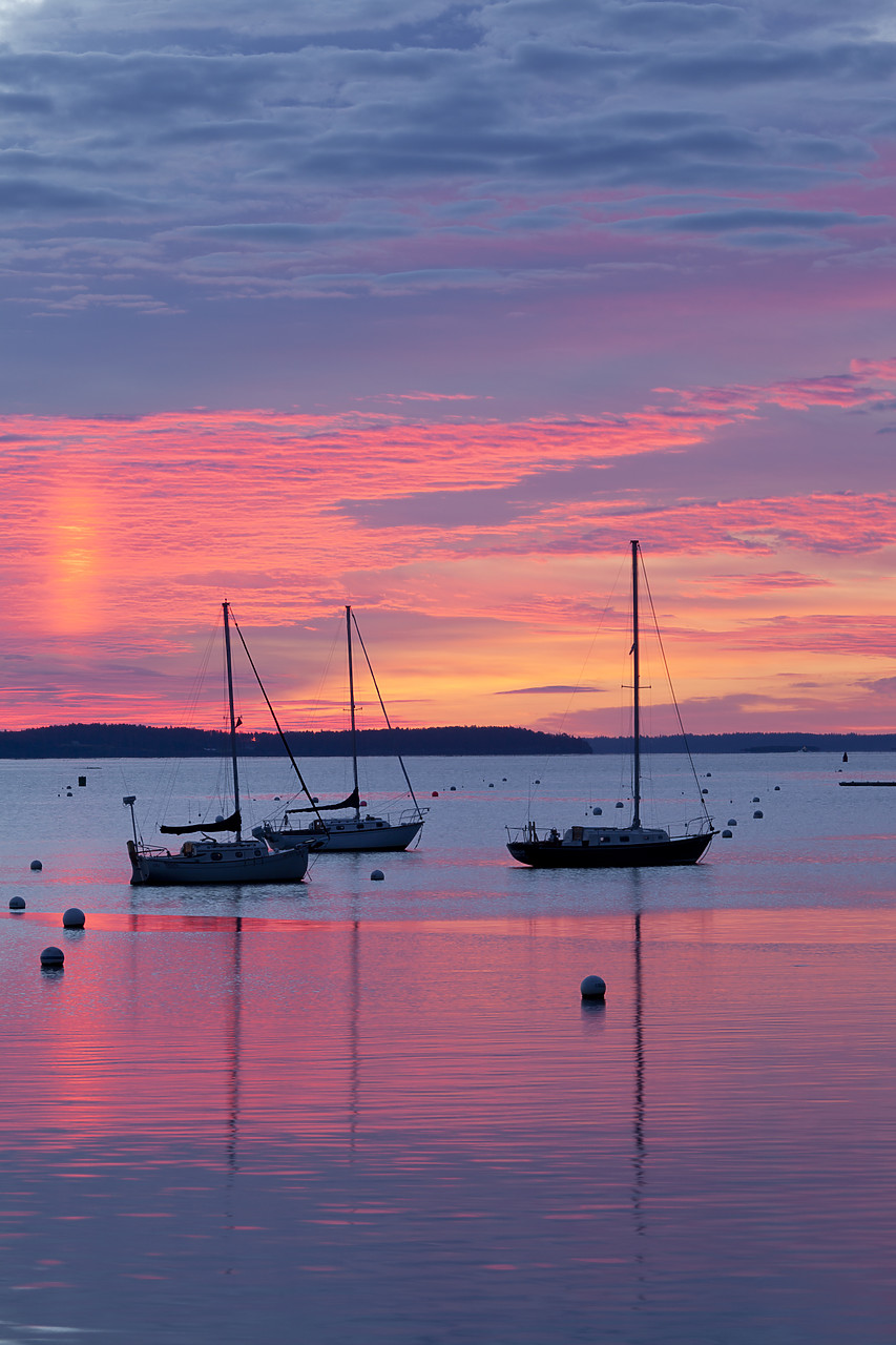 #100449-1 - Camden Harbor at Sunrise, Maines, USA