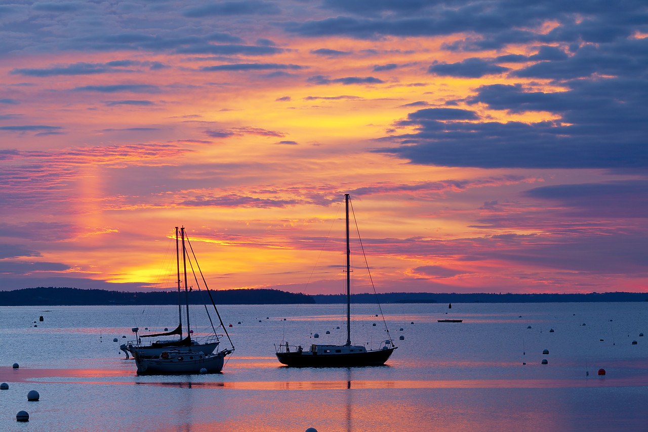 #100450-1 - Camden Harbor at Sunrise, Maines, USA