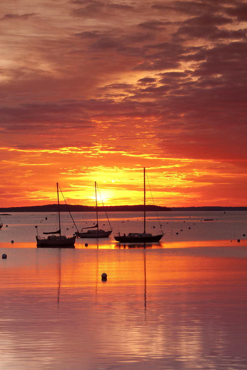 #100451-1 - Camden Harbor at Sunrise, Maines, USA