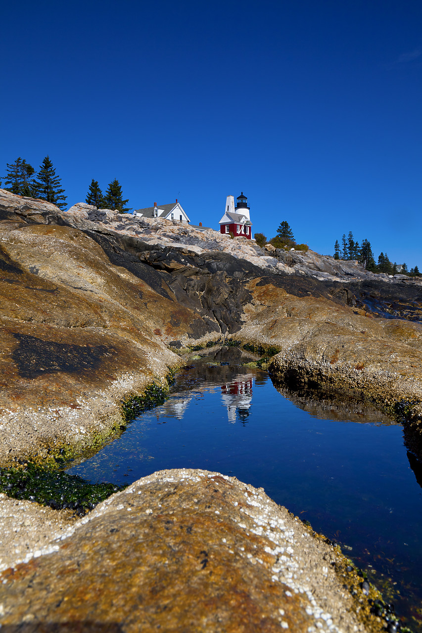 #100455-2 - Pemaquid LIghthouse, Bristol, Maine, USA