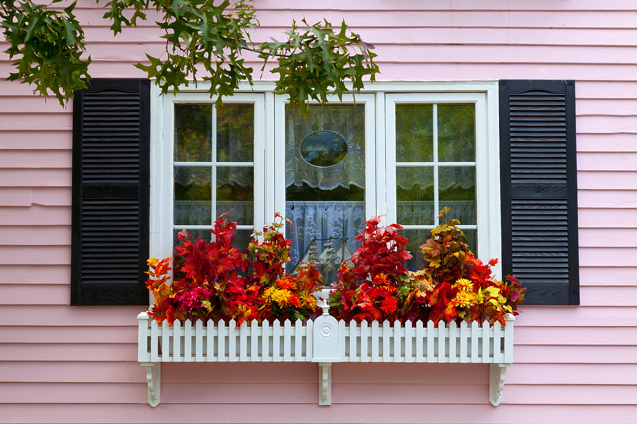 #100474-1 - New England Window in Autumn, Rockport, Massachusetts, USA