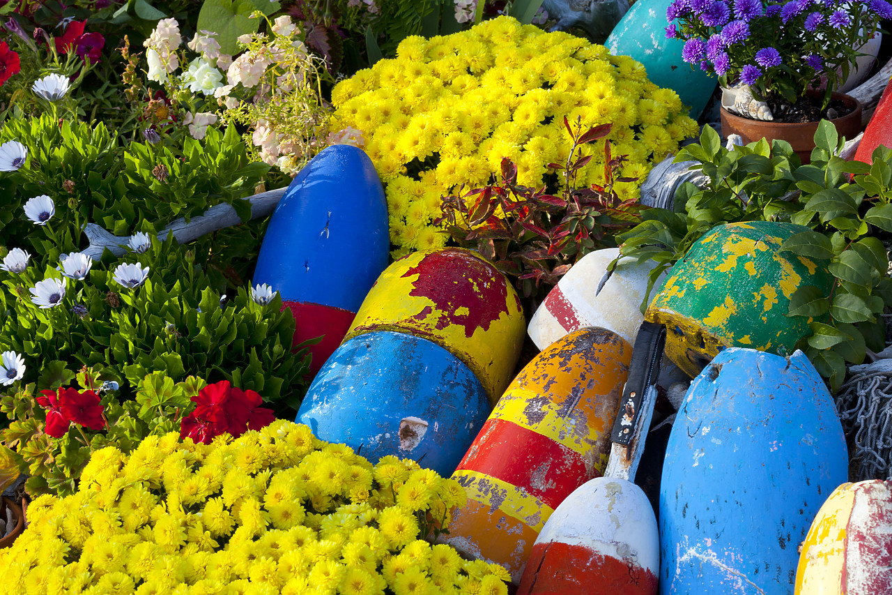 #100478-1 - Lobster Bouys, Rockport, Massachusetts, USA