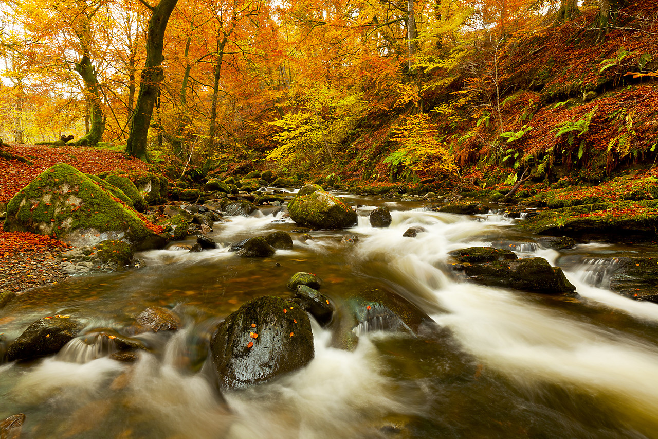 #100491-1 - The Birks of Aberfeldy in Autumn, Aberfeldy, Tayside Region, Scotland