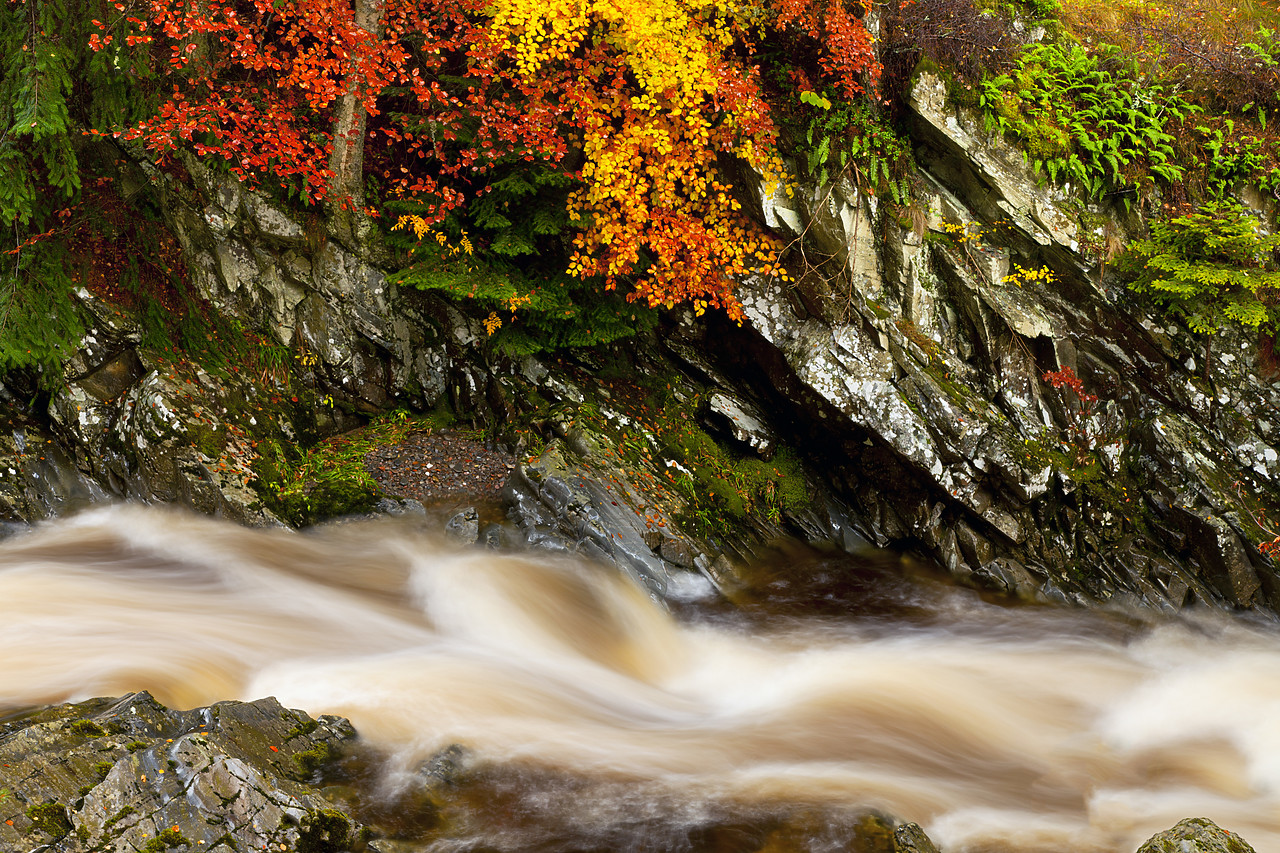 #100497-1 - Flowing Stream in Autumn, Glen Bruar, Tayside Region, Scotland