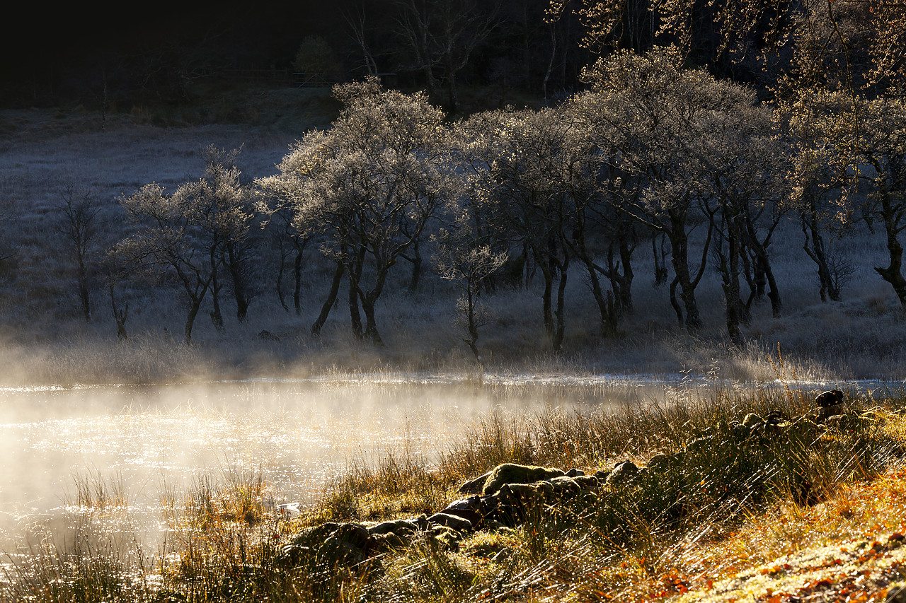 #100514-1 - Mist on Loch Awe, Strathclyde Region, Scotland