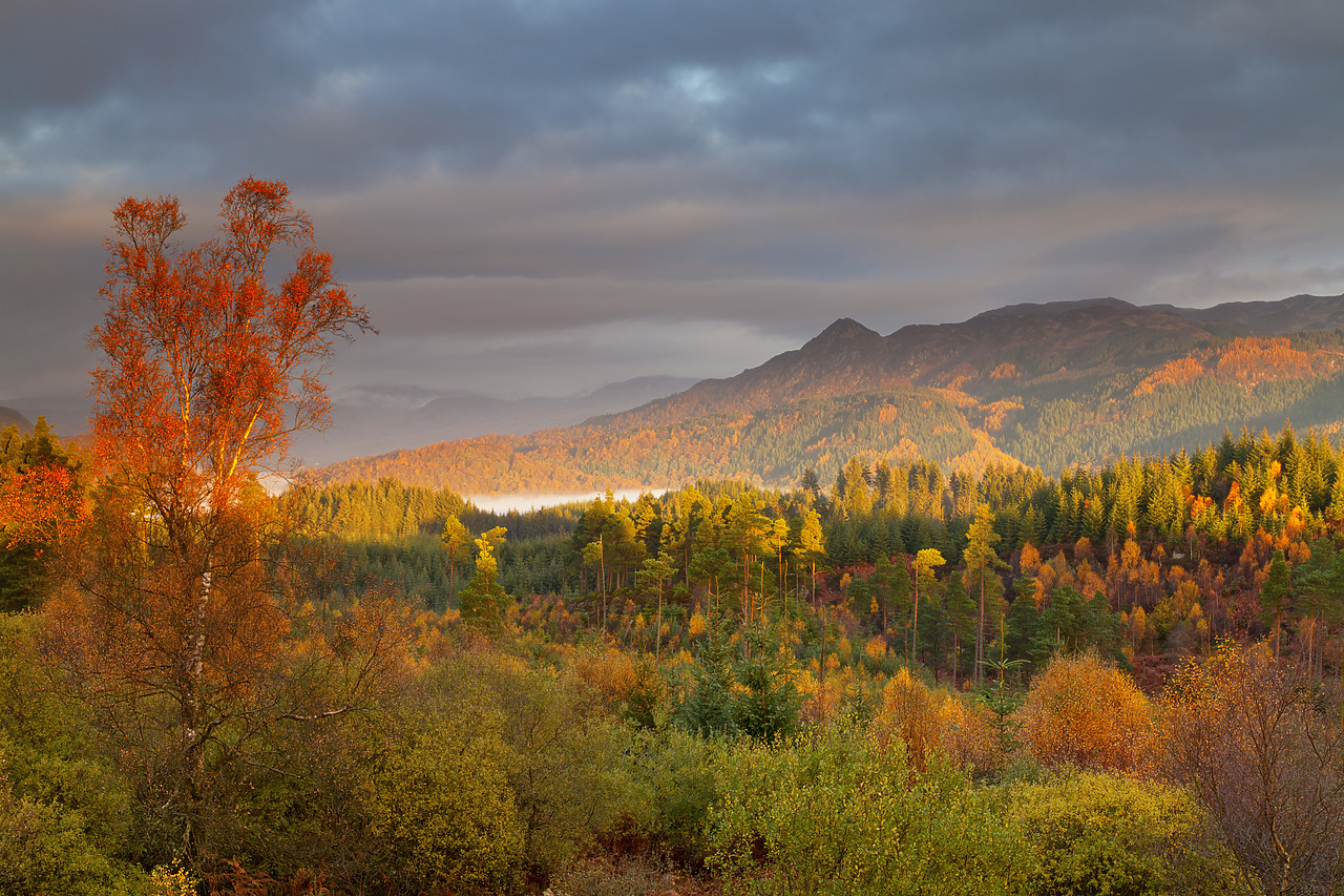 #100526-1 - The Trossachs National  Park in Autumn, Central Region, Stirling, Scotland