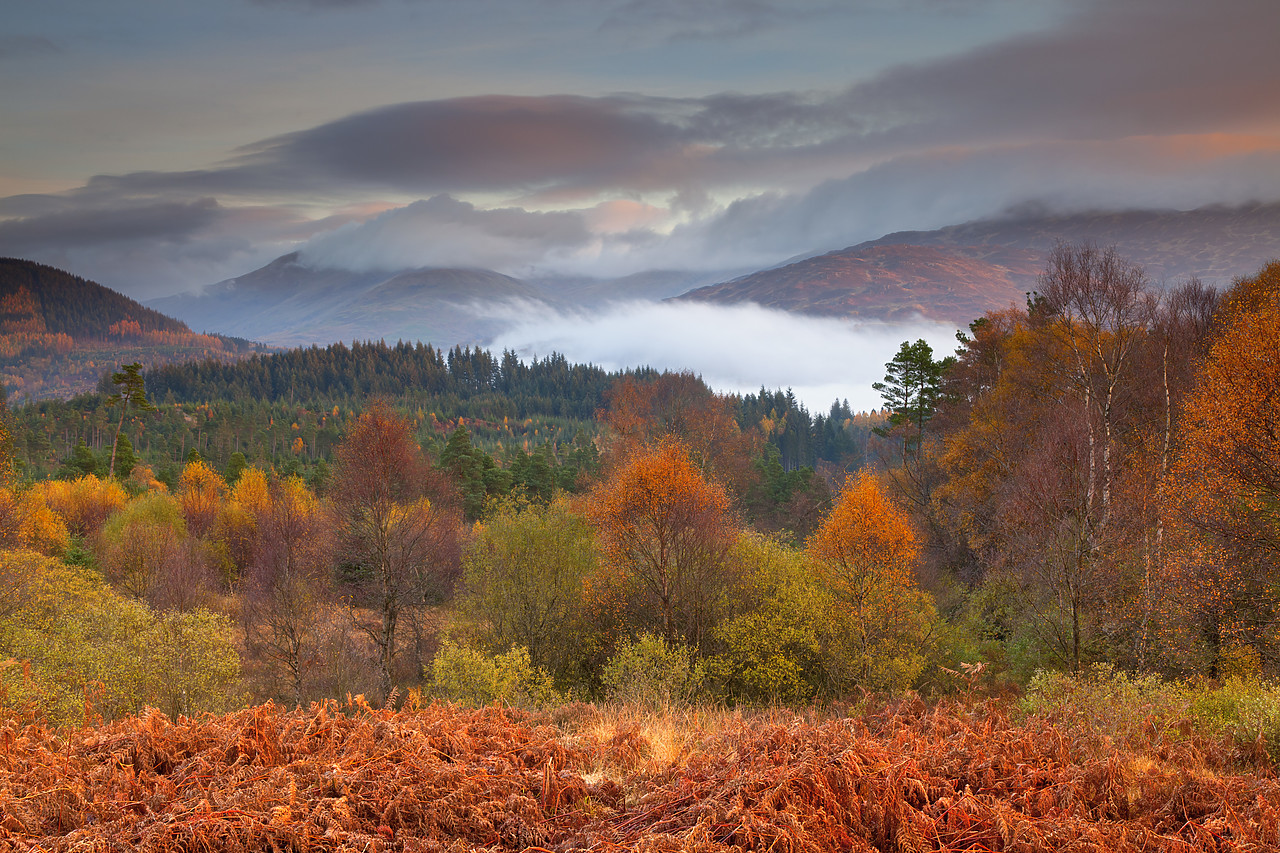 #100527-1 - The Trossachs National  Park in Autumn, Central Region, Stirling, Scotland