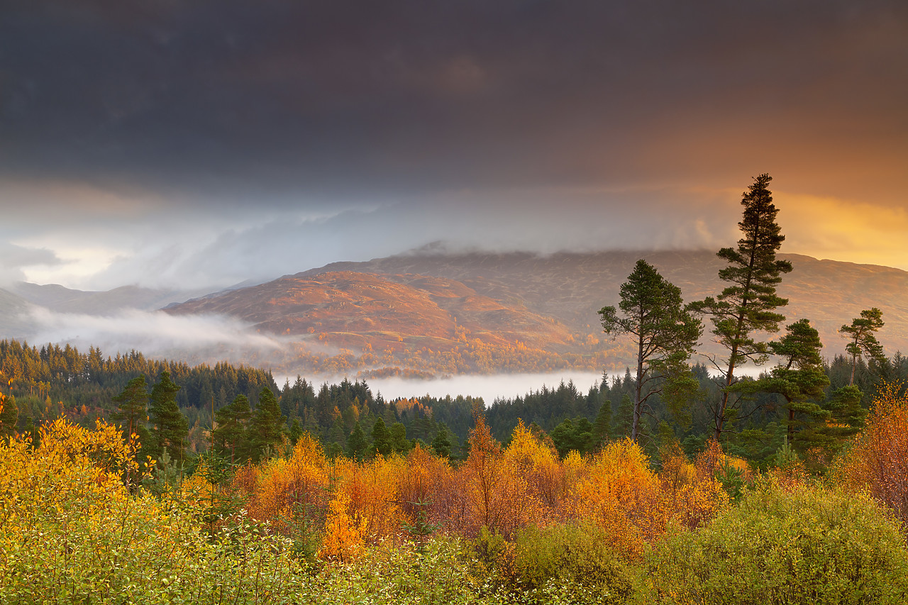 #100528-1 - The Trossachs National  Park in Autumn, Central Region, Stirling, Scotland
