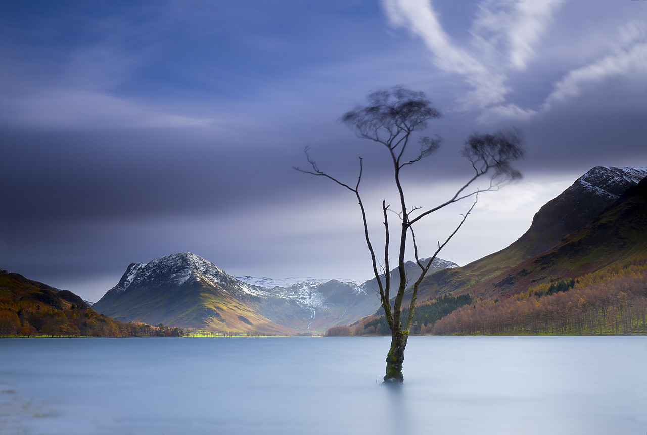 #100531-1 - Tree in Lake Buttermere, Lake District National Park, Cumbria, England