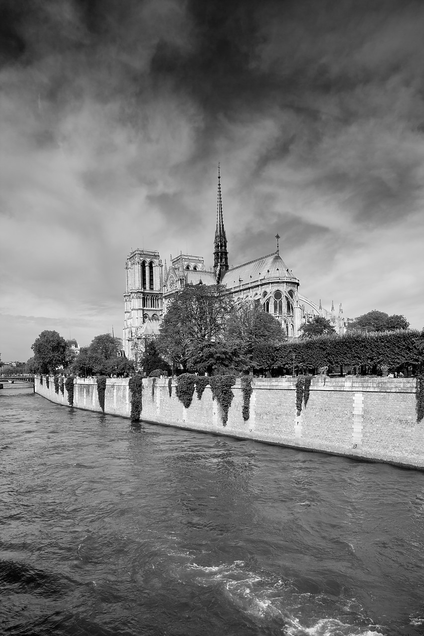 #100539-2 - Notre Dame Cathedral, Paris, France