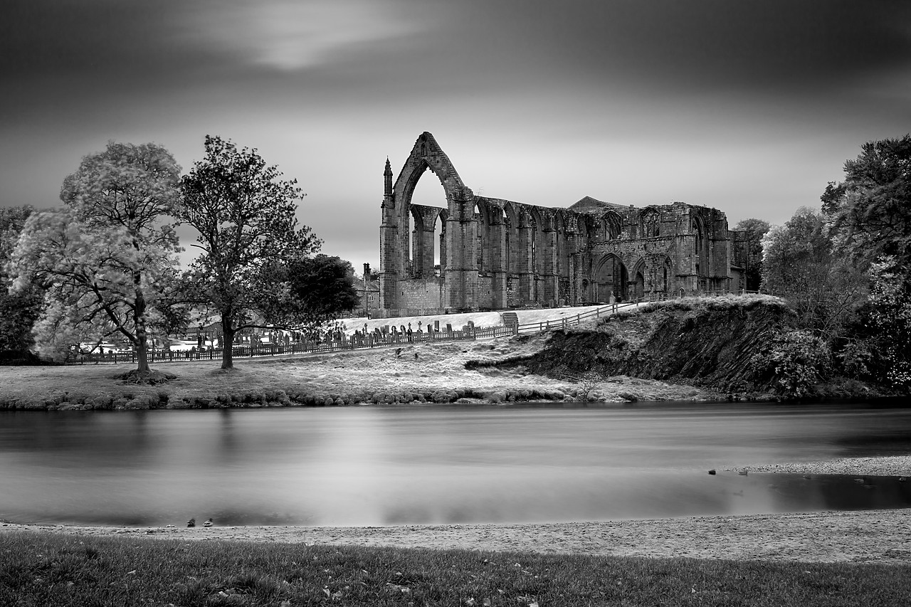 #100541-1 - Bolton Abbey, Yorkshire Dales National Park, England