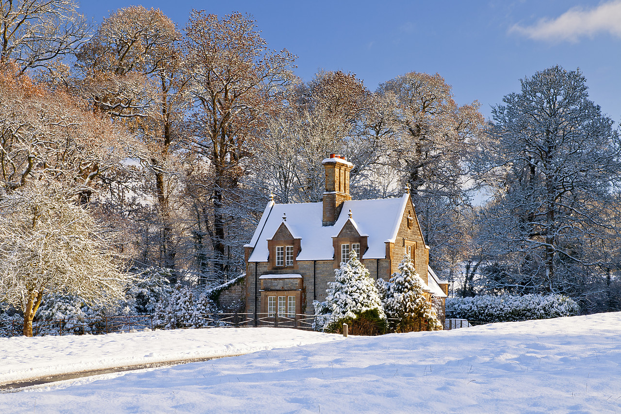#100566-1 - Gatehouse Cottage in Winter, Melbury Osmond, Dorset