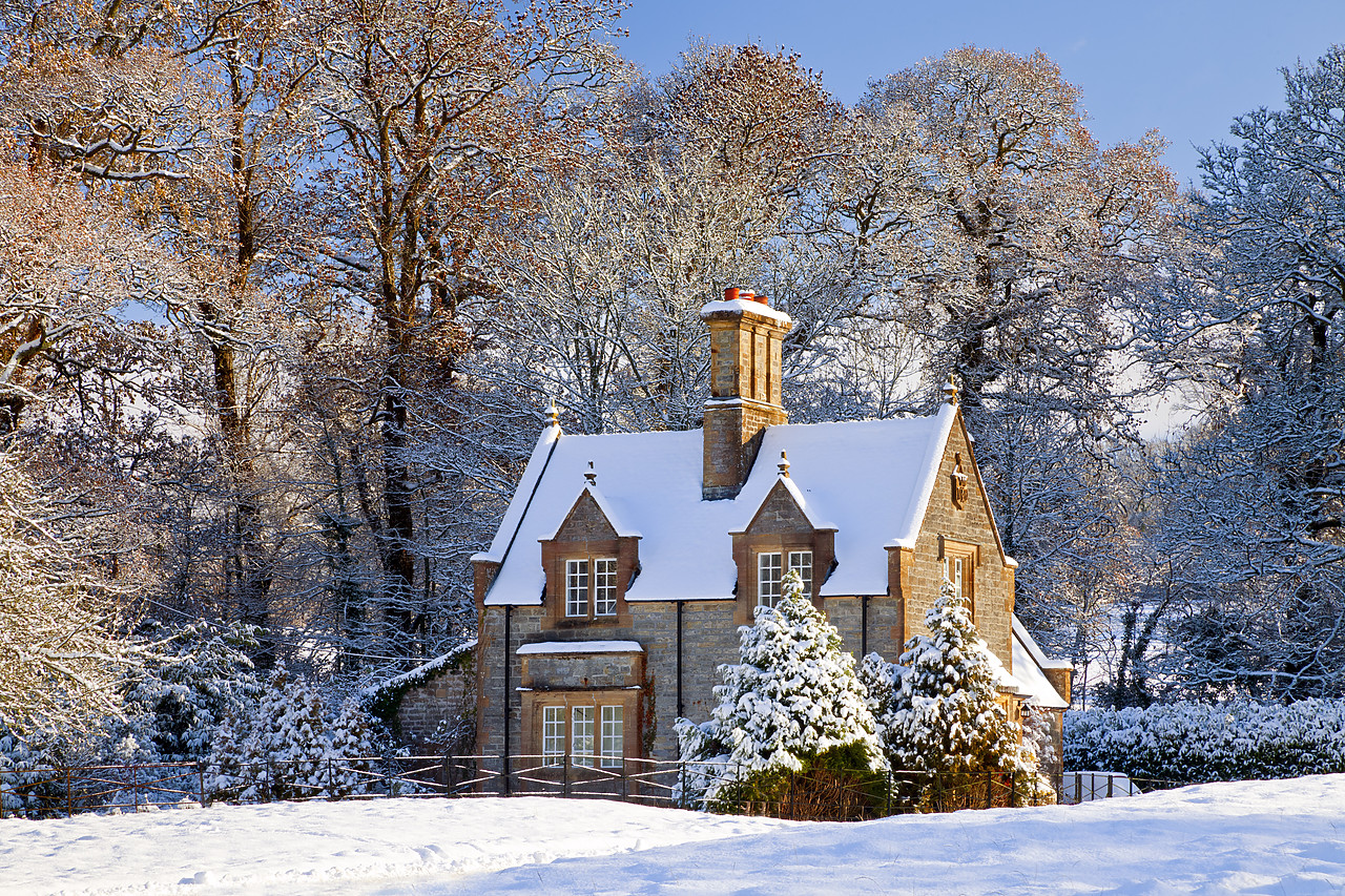 #100566-2 - Gatehouse Cottage in Winter, Melbury Osmond, Dorset